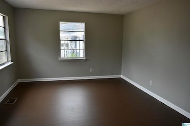 3720 Howard Ave SW, Birmingham, AL 35221 - photo 4