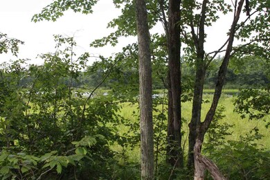 237.5 AC County Rd W, Chetek, WI 54728 - photo 3