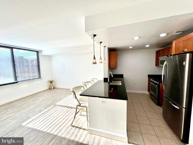 Midtown Alexandria Station Condominiums unit 717, Alexandria, VA 22303 - photo 5