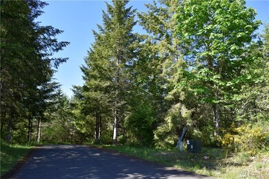 18224 248th Ave E, Orting, WA 98360 - photo 7