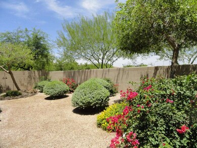 Easy Care Backyard