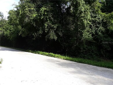 Lot 4 SW Alabama Glen, Fort White, FL 32038 - photo 3