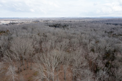 0 Kedron Rd unit RTC3047282, Spring Hill, TN 37174 - photo 7