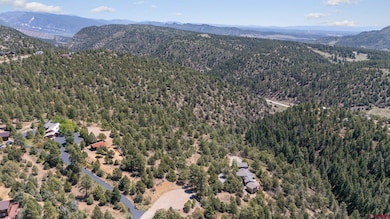 275 Logging Trail Rd, Durango, CO 81303 - photo 3