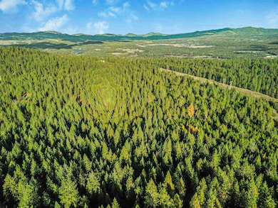 XXX N Waldrons Ln, Chattaroy, WA 99003 - photo 6