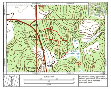 WHITE MUD LAKE Topographic