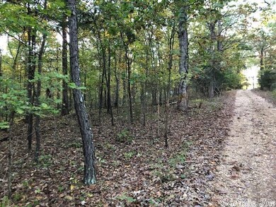 614 Cr 765, Brookland, AR 72417 - photo 2