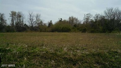 19211 Ellisville Rd, Orange, VA 22960 - photo 5