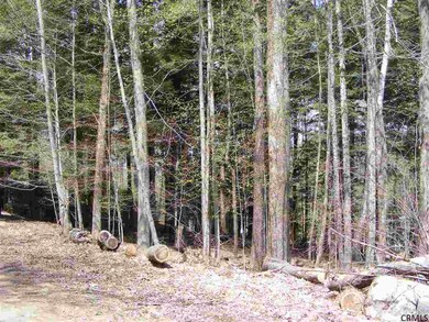 0 Eastern Ave unit 201334613, Day, NY 12835 - photo 3