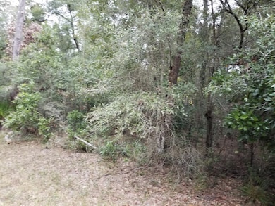 3 NE 5th St, Chiefland, FL 32626 - photo 2