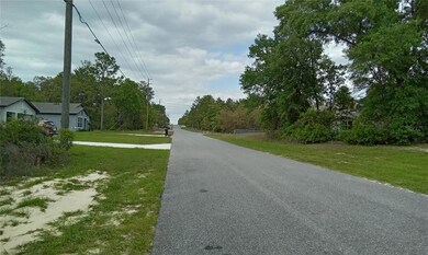 9000 N Lansen Way, Citrus Springs, FL 34433 - photo 3