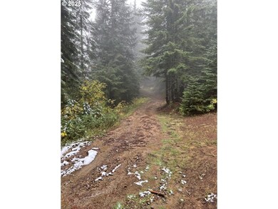 0 Calapooia Rd unit 498469836, Sweethome, OR 97386 - photo 4