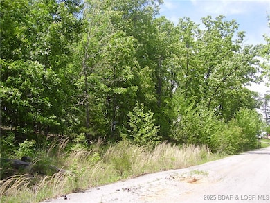 26 Silver Spur Ct, Camdenton, MO 65020 - photo 2