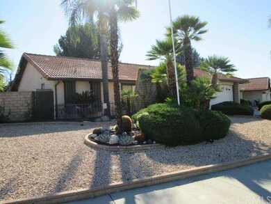 Easy to Maintain Front Yard