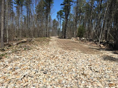 46acres Acton Ridge Rd, Acton, ME 04001 - photo 5