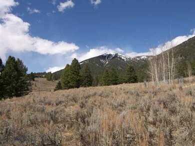 0 Bobtail Horse Rd unit 183120, Big Sky, MT 59716 - photo 3