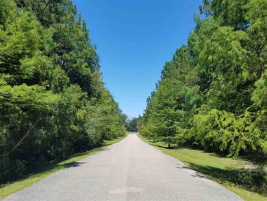 0 Subdivision Rd unit 310512, Lloyd, FL 32344 - photo 3