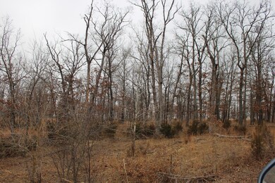 IMG_9532