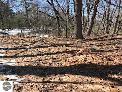 N/A E 3rd St, Au Gres, MI 48703 - photo 4