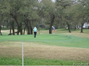 Nice view of 6th green