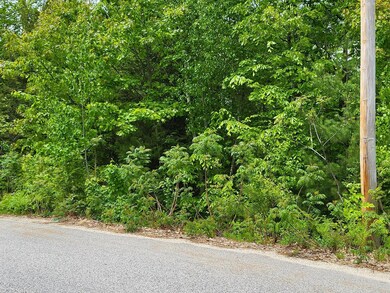 Lot #11 Maple Ln, Hebron, ME 04238 - photo 2