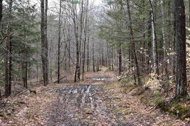 0 E Side Rd unit 4905806, Wentworth, NH 03223 - photo 4