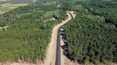 L10,Blk1 177th St NW, Orrock Township, MN 55309 - photo 3