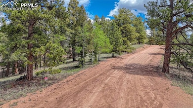 26 N Eldorado Cir, Florissant, CO 80816 - photo 3