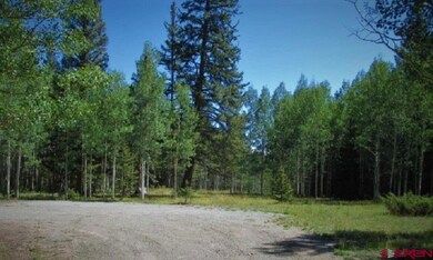 200 Hazel Lake Dr, Cimarron, CO 81220 - photo 6