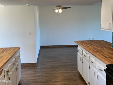 11016 W Cameo Dr, Sun City, AZ 85351 - photo 5