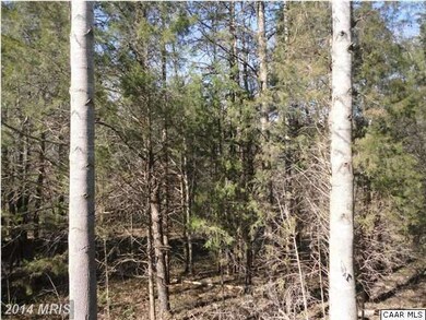 8005 Ellisville Dr, Louisa, VA 23093 - photo 3