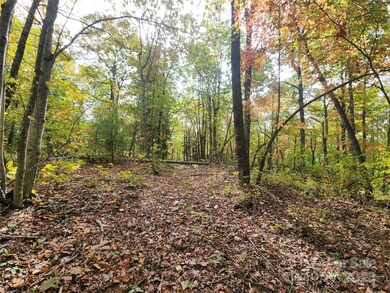 999999 N Pointe Dr unit 1, Zirconia, NC 28790 - photo 2