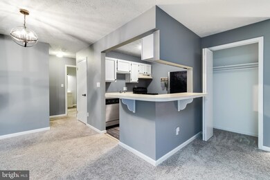 23243 White Birch Ct unit 109, California, MD 20619 - photo 5