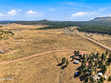 Lot 35 the Ranch at Alpine -- unit 35, Alpine, AZ 85920 - photo 4