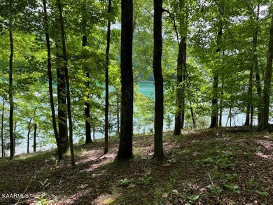 deer run circle david 1