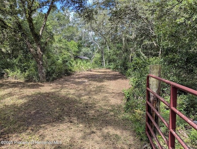 9001 Treiman Blvd, Rdg Mnr Est, FL 33597 - photo 5