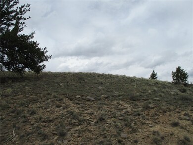 129 Ouray Trail, Como, CO 80432 - photo 7