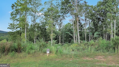 LT 272 Highgrove Dr, Talking Rock, GA 30175 - photo 2