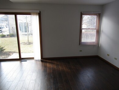11716 Pine Way unit A, Huntley, IL 60142 - photo 3