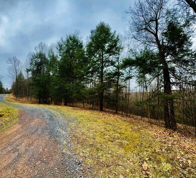 LOT 10 Paradise Rd, Todd Township, PA 16657 - photo 5
