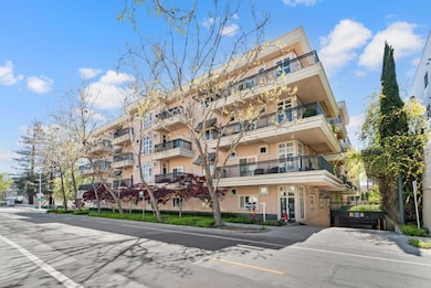 200 Sheridan Ave unit 306, Palo Alto, CA 94306 - photo 4