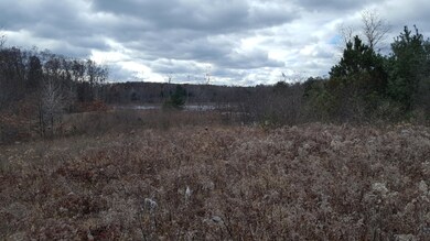 0 N Felch Ave unit 21003119, Sherman Township - Newaygo, MI 49349 - photo 3