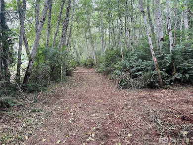 1 XX Scenic Dr NE, Poulsbo, WA 98370 - photo 6