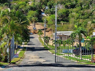 1 Calle Brisas Suave, Isabela, PR 00662 - photo 3