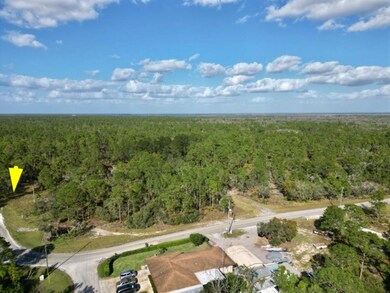 207 Sunnyside Dr, Lake Placid, FL 33852 - photo 3