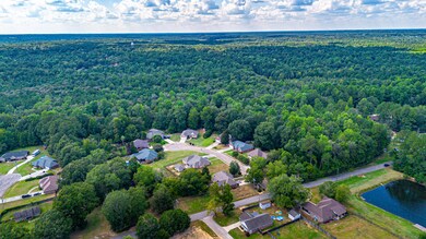 DJI_0233