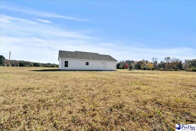 3485 Creech Rd, Marion, SC 29571 - photo 6