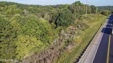 14 Clear Branch Rd, Loudon, TN 37774 - photo 5