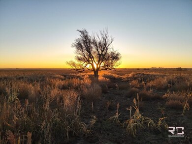 0000 US Hwy 160, Wilmore, KS 67155 - photo 5
