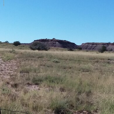 carrizo.317.c